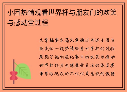 小团热情观看世界杯与朋友们的欢笑与感动全过程
